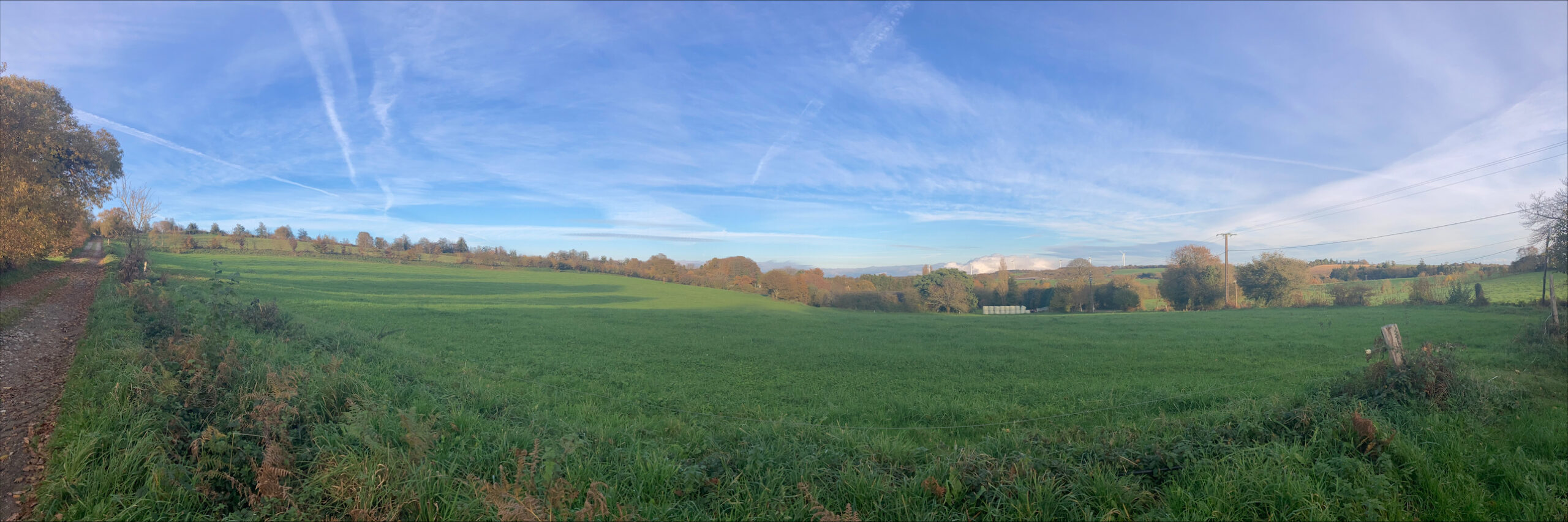 processed-0105FCCD-7F0E-460F-92B2-FEBA13094058