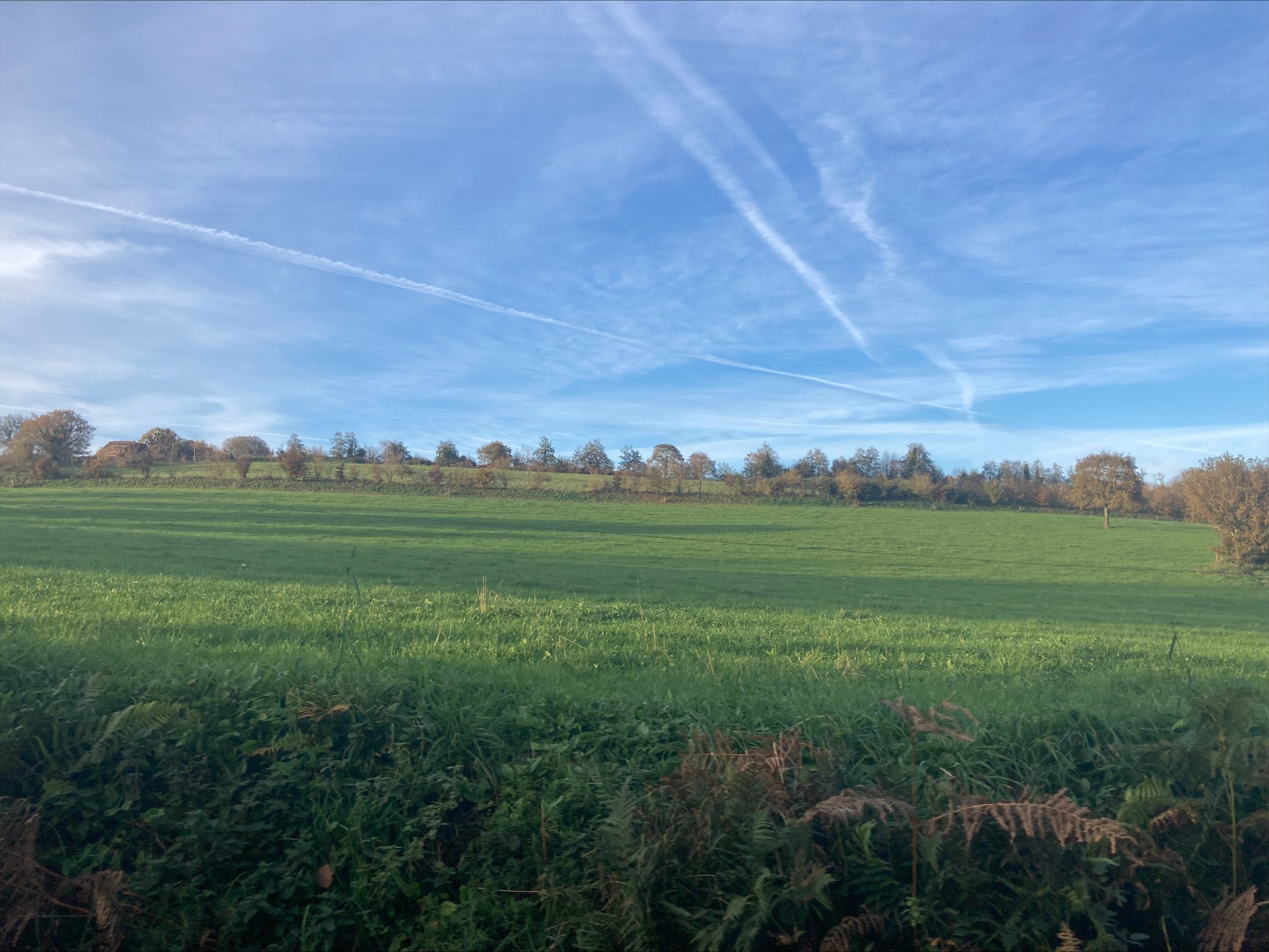 processed-5BA455CB-1618-43F3-801B-55965573588F